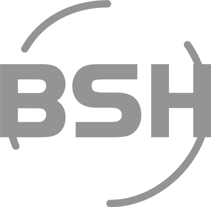 BSH · Borrero Sánchez Hermanos